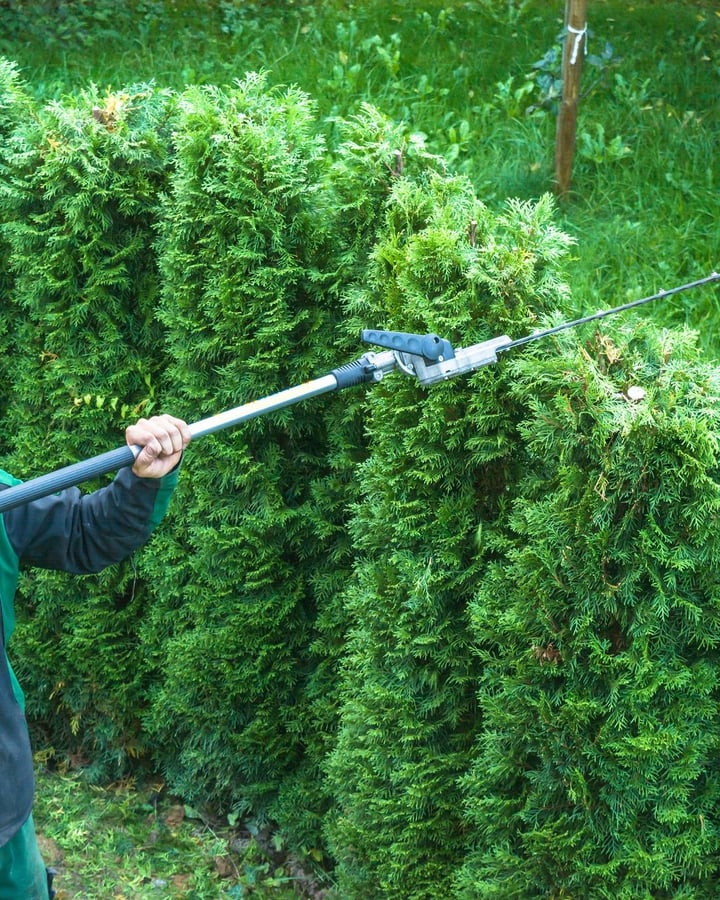 Tuinonderhoud - Amstelveen