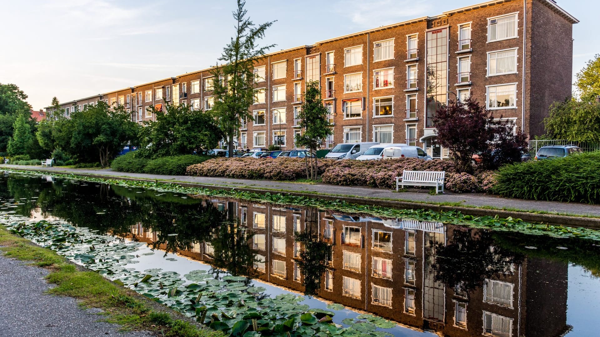 Schilder Den Haag