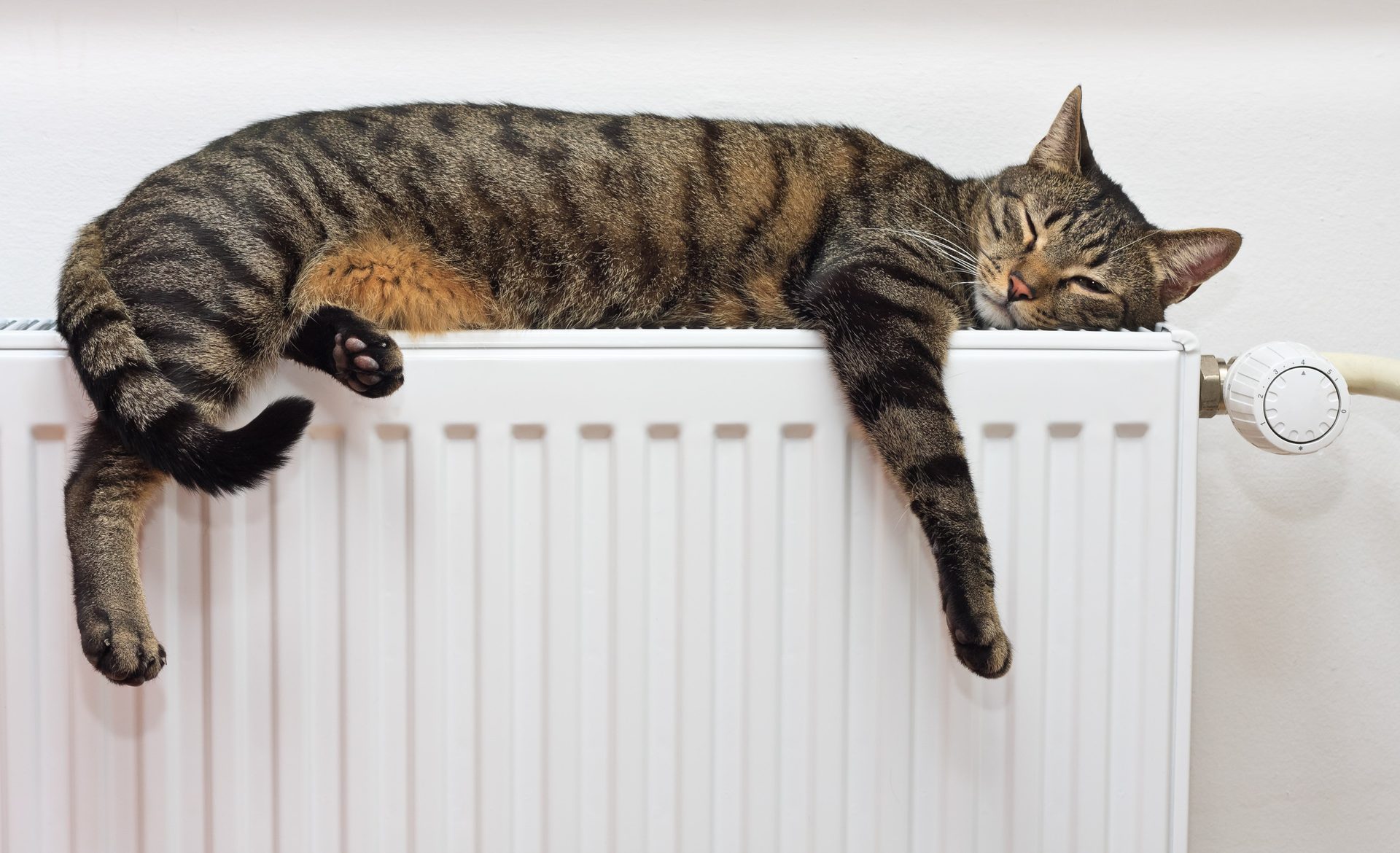 Verwarming installateur