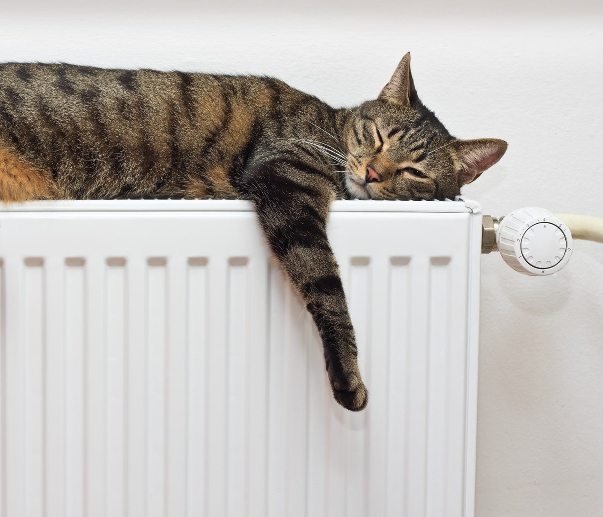 Verwarming installateur